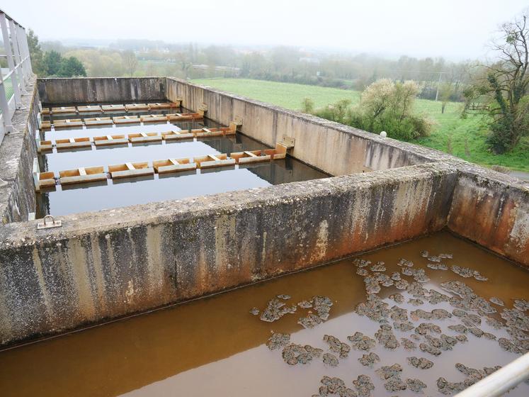Programme Volontaires de l'Eau